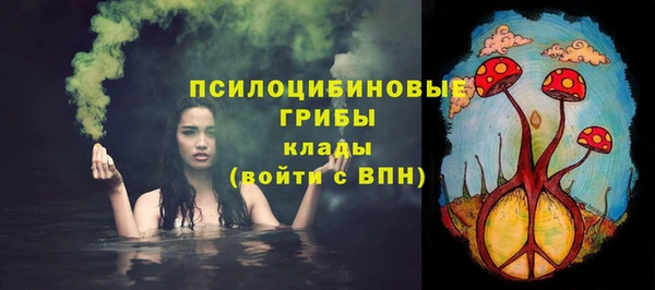гашик Балахна